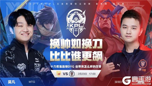 条关于